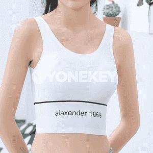 Zenanlar üçin topikler