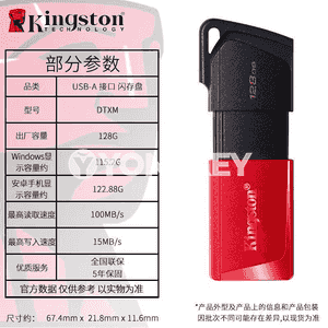 Kingston USB fleşka 