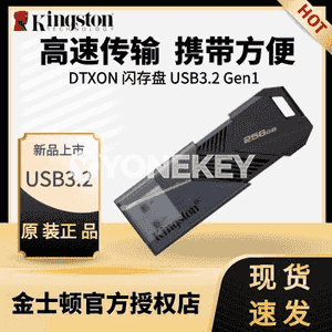 Kingston U diski.