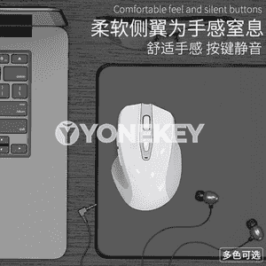 Universal simsiz Bluetooth syçanjyk.