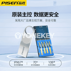 Pinsheng USB fleşka 