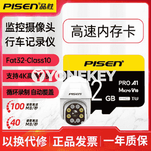 Pinsheng SD ýat kartasy.