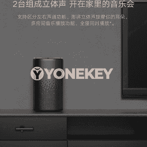 Xiaoai bluetooth kalonka