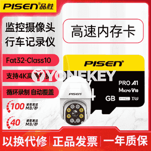 Pinsheng SD ýat kartasy.