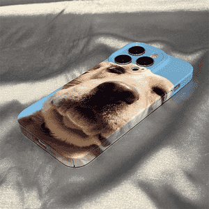 iPhone modelli telefonlar üçin çehol.