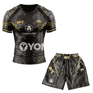 UFC FIGHT 