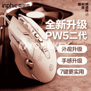 PW5 kompýuter üçin syçan.