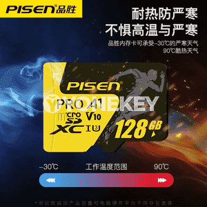 Universal Pinsheng ýat kartasy. 
