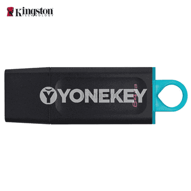 Kingston u disk