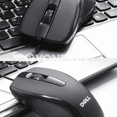 Kompýuterler üçin USB simli syçanjyk