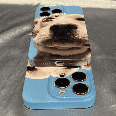 iPhone modelli telefonlar üçin çehol.
