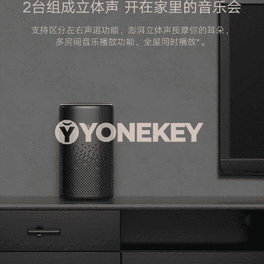 Xiaoai bluetooth kalonka