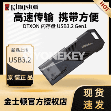 Kingston U diski.