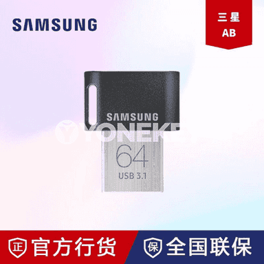 Samsung FitPlus mini U disk.