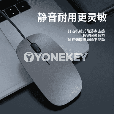 HP notebook kompýuterleri üçin laýyk simli sessiz syçanjyk.