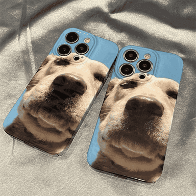 iPhone modelli telefonlar üçin çehol.