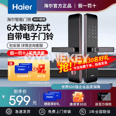 Haier elektron akylly gapy gulpy