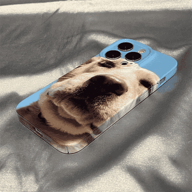 iPhone modelli telefonlar üçin çehol.