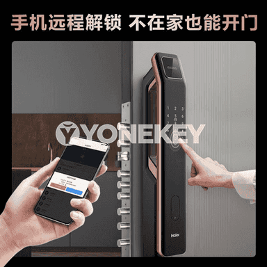 Haier doly awtomatiki elektron  akylly gapy gulpy.