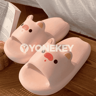 Zenanlar üçin şypbyklar
