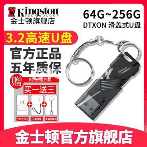 Kingston USB fleşka. 