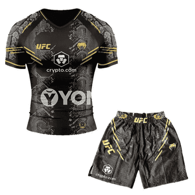UFC FIGHT 