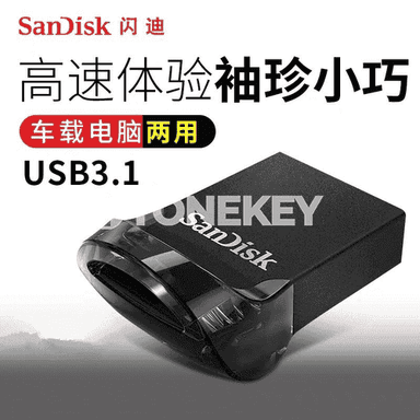 SanDisk U disk.