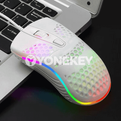 Kompýuterler üçin USB syçanjyk 