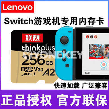 Lenovo ýat kartasy.