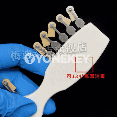Diş agzy üçin reňk plastinka 