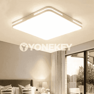 Öý üçin niýetlenen potolok led çyralar 