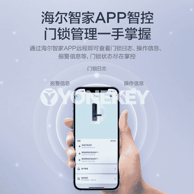 Haier elektron akylly gapy gulpy