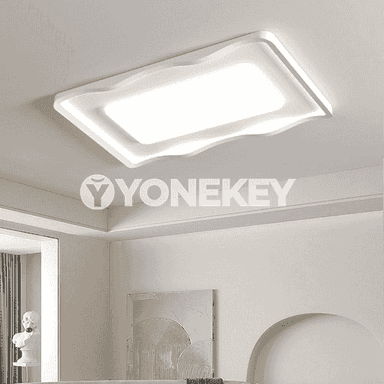 Öý üçin niýetlenen potolok led çyralar 