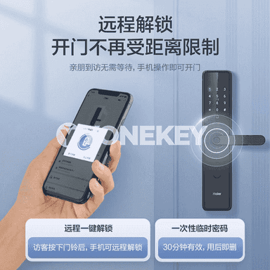 Haier elektron akylly gapy gulpy