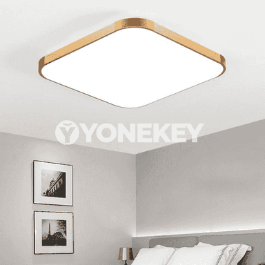 Öý üçin niýetlenen potolok led çyralar 