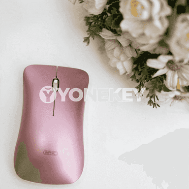 Kompýuter üçin Bluetooth syçanjyk.
