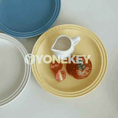 Aşhanada ulanmak üçin plastmas tarelka 