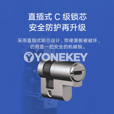 Xiaomi akylly gapy gulpy.