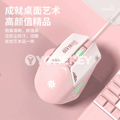 Kompýuterler üçin USB simli syçanjyk.