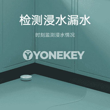 Xiaomi akylly gapy jaňy