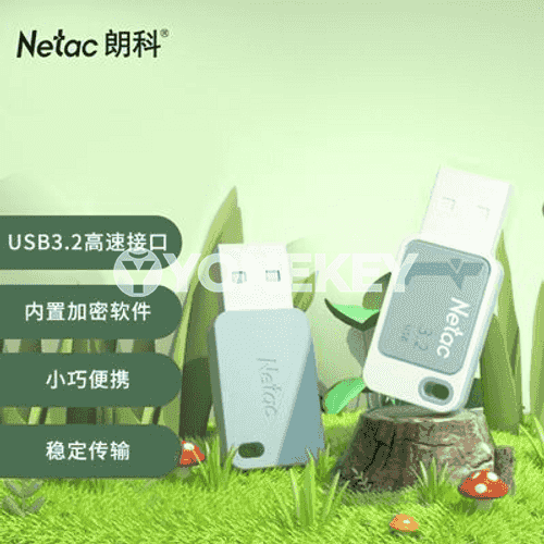 Netac U disk UA31 mini seriýasy.
