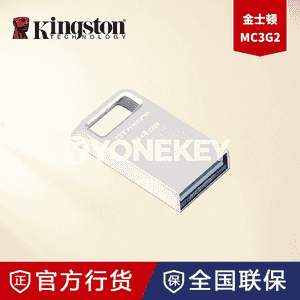 Kingston DTMC3G2.