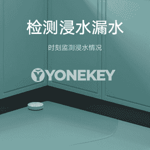 Xiaomi akylly gapy jaňy