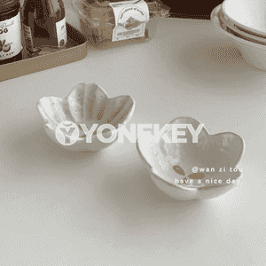 Aşhanada we öýde ulanylýan gaplar