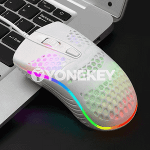 Kompýuterler üçin USB syçanjyk 