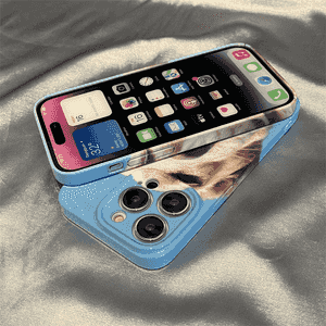 iPhone modelli telefonlar üçin çehol.
