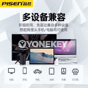 Pinsheng USB fleşka 