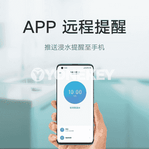 Xiaomi akylly gapy jaňy