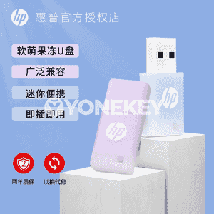 Universal HP USB fleşka.