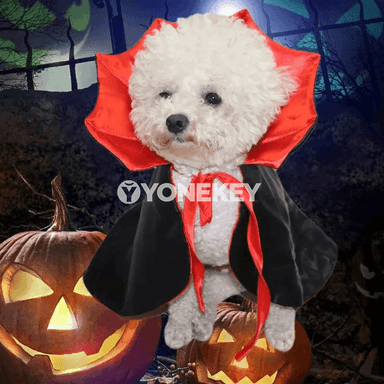 It we pişik üçin gülkünç vampir penjekli Halloween eşigi